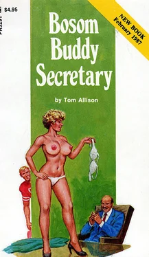 Tom Allison Bosom buddy secretary обложка книги