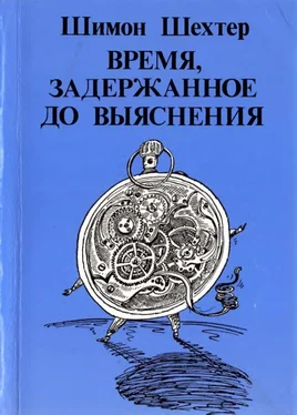 Шимон Шехтер Время, задержанное до выяснения обложка книги