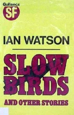 Ian Watson Slow Birds обложка книги