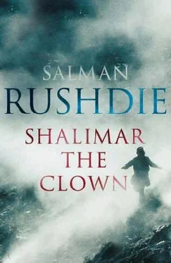 Salman Rushdie Shalimar the Clown обложка книги