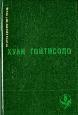 Хуан Гойтисоло In memoriam F. F. B. обложка книги