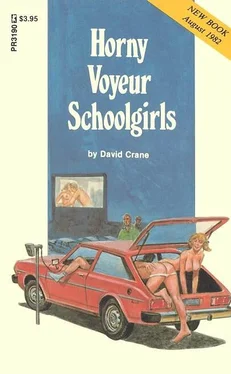 David Crane Horny voyeur schoolgirls обложка книги