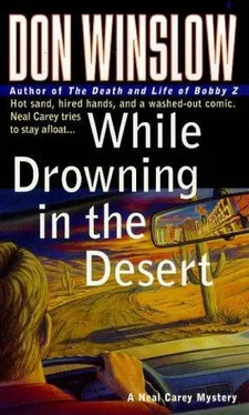 Don Winslow While Drowning in the Desert обложка книги