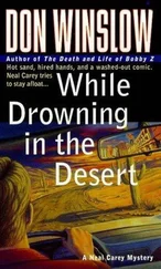Don Winslow - While Drowning in the Desert