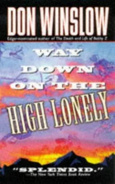 Don Winslow Way Down on the High Lonely обложка книги