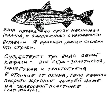 Заметки пассажира 24 вагона с комментариями и рисунками автора - фото 14