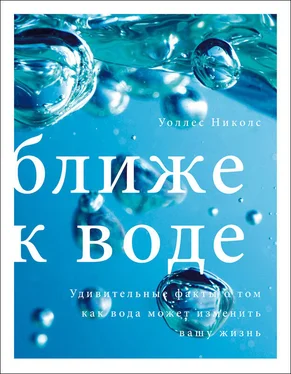 Уоллес Николс Ближе к воде [Удивительные факты о том, как вода может изменить вашу жизнь] обложка книги