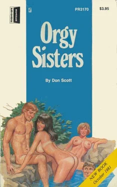 Don Scott Orgy sisters обложка книги