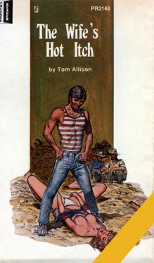 Tom Allison The wife_s hot itch обложка книги