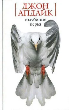 Джон Апдайк Номер на двоих в Риме обложка книги