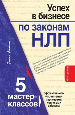 Диана Балыко Успех в бизнесе по законам НЛП. 5 мастер-классов для продвинутых обложка книги