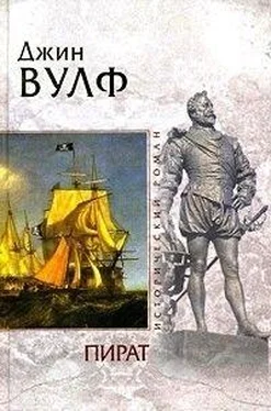 Джин Вулф Пират обложка книги