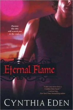 Синтия Иден Eternal Flame обложка книги