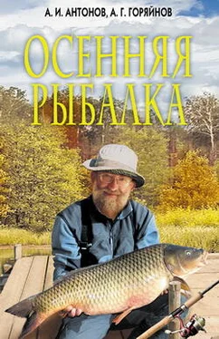 Александр Антонов Осенняя рыбалка обложка книги