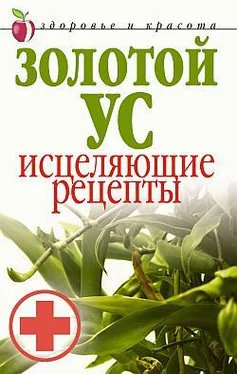 Людмила Антонова Золотой ус. Исцеляющие рецепты обложка книги