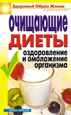 Юлия Бебнева Очищающие диеты. Оздоровление и омоложение организма обложка книги