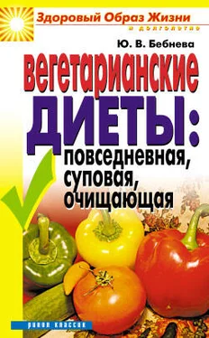 Юлия Бебнева Вегетарианские диеты: повседневная, суповая, очищающая обложка книги