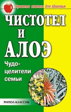 Галина Гальперина Чистотел и алоэ. Чудо-целители семьи обложка книги