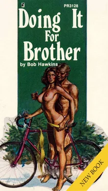 Bob Hawkins Doing it for brother обложка книги