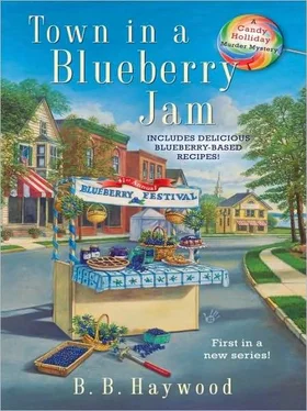 B. Haywood Town in a Blueberry Jam обложка книги