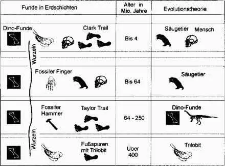 Abb 4 Funde in geologischen SchichtenQualitative Darstellung der - фото 4