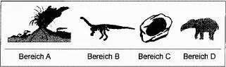 Abb 5 Unterschiedliche FossilienfundeWarum gibt es qualitativ - фото 5