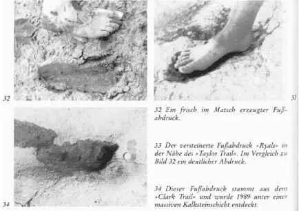 Sekundentod und gleichzei - фото 35