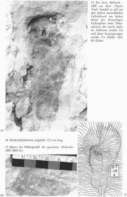 Sekundentod und gleichzeitig einem Vorgang der dies alles konservierte Der - фото 39