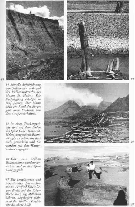 88 Mit Hilfe von Satellitenaufnahmen wurde eine digitale Alterskarte des - фото 79