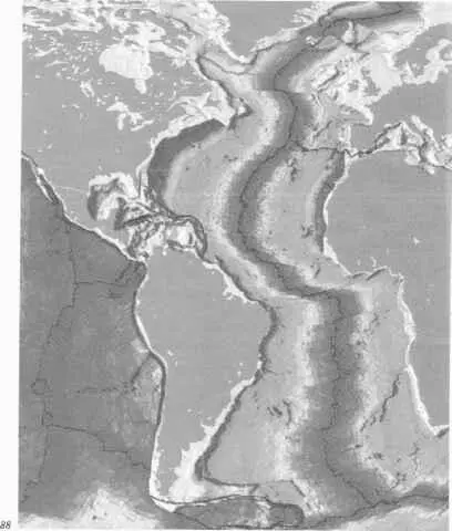 88 Mit Hilfe von Satellitenaufnahmen wurde eine digitale Alterskarte des - фото 80