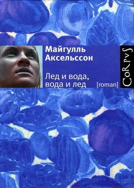 Майгулль Аксельссон Лед и вода, вода и лед обложка книги