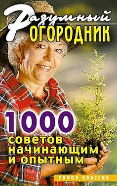 Светлана Дубровская Разумный огородник. 1000 советов начинающим и опытным обложка книги