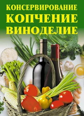 Алла Нестерова Консервирование, копчение, виноделие обложка книги