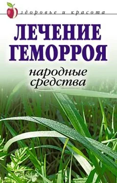 Линиза Жалпанова Лечение геморроя. Народные средства обложка книги