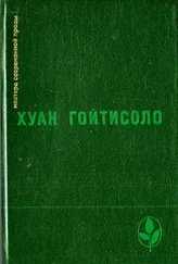 Хуан Гойтисоло - Хуан Безземельный (Отрывки из романа)