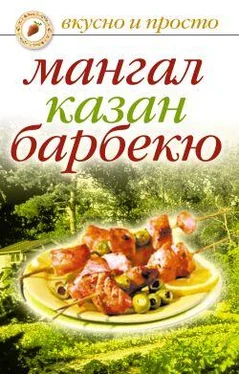 Ирина Зайцева Мангал, казан, барбекю обложка книги