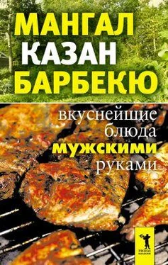 Ирина Зайцева Мангал, казан, барбекю. Вкуснейшие блюда мужскими руками обложка книги