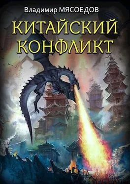 Владимир Мясоедов Китайский конфликт обложка книги