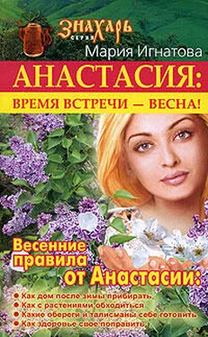 Мария Игнатова Анастасия. Время встречи - весна! обложка книги