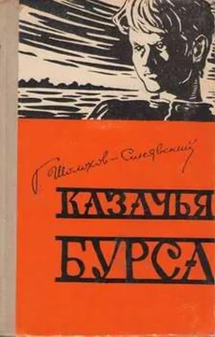 Георгий Шолохов-Синявский Казачья бурса обложка книги