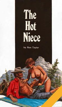 Ron Taylor The hot niece обложка книги