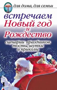 Анастасия Красичкова Встречаем Новый год и Рождество: Сценарии праздников, тосты, шутки и приколы обложка книги