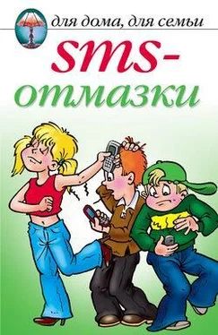 Анастасия Красичкова SMS-отмазки обложка книги