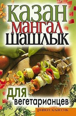Кристина Кулагина Казан, мангал, шашлык для вегетарианцев обложка книги