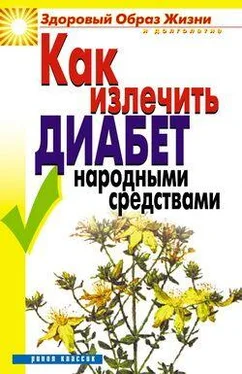 Кристина Ляхова Как излечить диабет народными средствами обложка книги