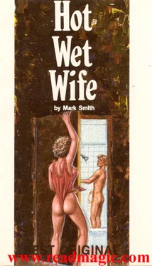 Mark Smith Hot wet wife обложка книги