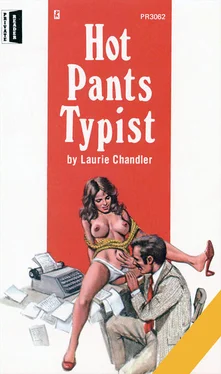 Laurie Chandler Hot pants typist обложка книги