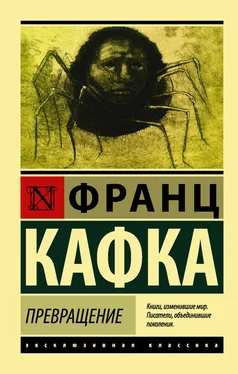 Франц Кафка Превращение [сборник] обложка книги