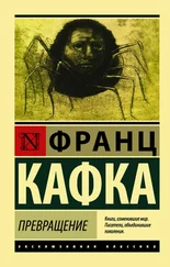 Франц Кафка - Превращение [сборник]