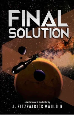 J Mauldin Final Solution обложка книги